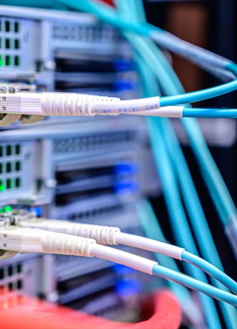 Server mit Glasfaserkabeln – moderne IT-Infrastruktur von Schunk Solutions aus Ulm